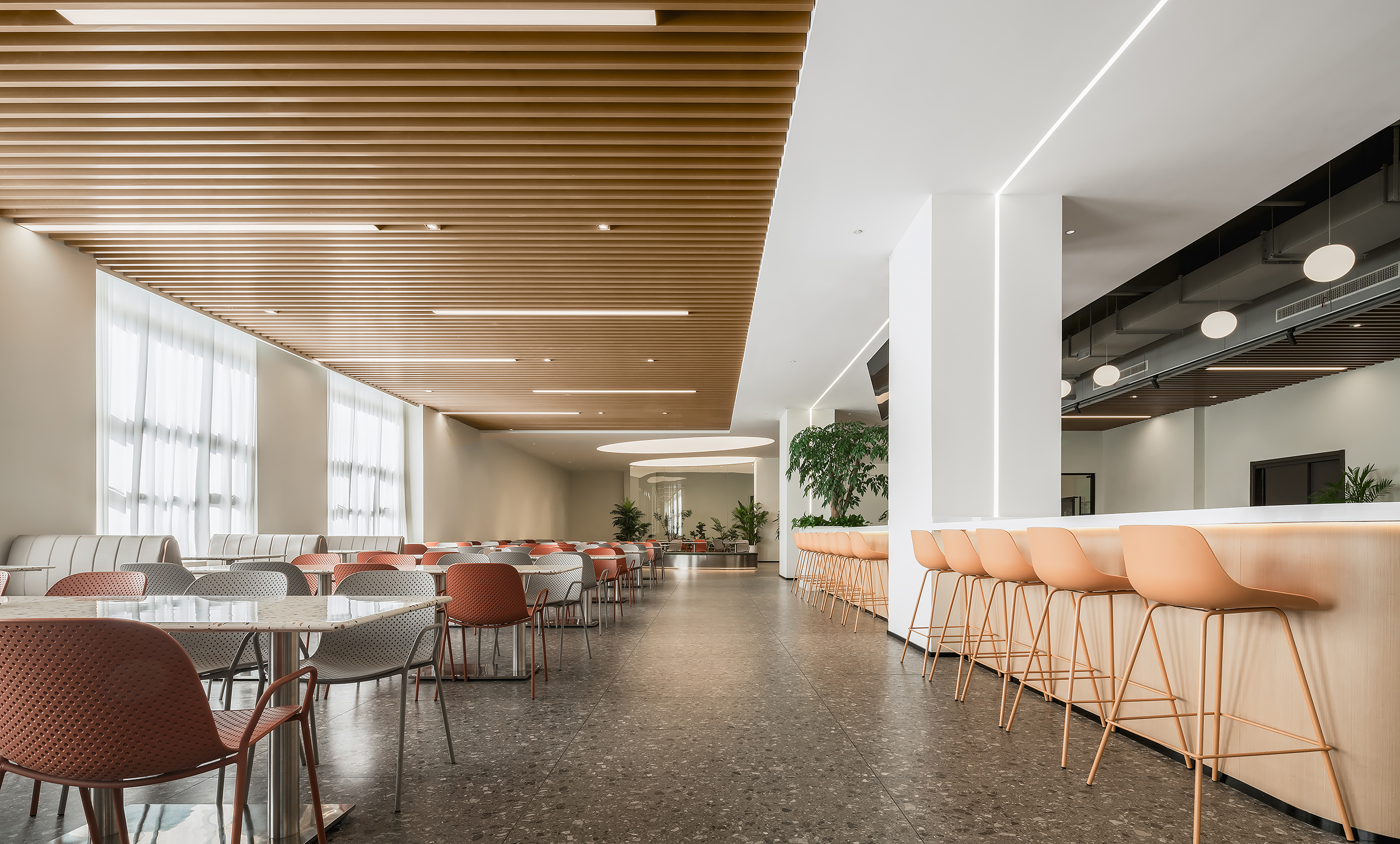 _DSC4488.jpg _DSC4488.jpg